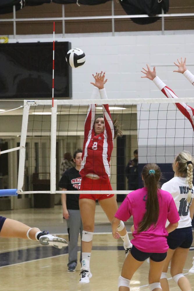 Gallery: Girls volleyball - Crown Point at Michigan City